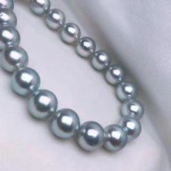 Takaramonobr Natural-Color | 10.5-11.0 Mm Japanese Silver-Blue Akoya Pearl Necklace - PSL Certificate Akoya Pearls