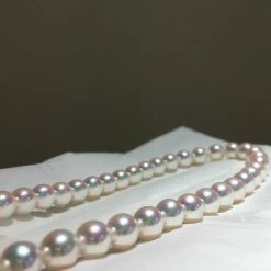 Takaramonobr TEN-NYO | 7.0-7.5 Mm Japanese Akoya White Pearl Necklace - PSL Certificate Akoya Pearls