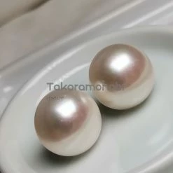 Takaramonobr Freshwater Pearls 15.0-16.0 Mm White Button Freshwater Pearl Earrings