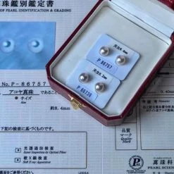 Takaramonobr TEN-NYO | 8.0-8.5 Mm Japanese Akoya White Pearl Earrings - PSL Certificate