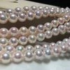 Takaramonobr 8.0-8.5 Mm Japanese Akoya Cultured Pearl Necklace In White