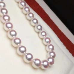 Takaramonobr TEN-NYO | 7.0-7.5 Mm Japanese Akoya White Pearl Necklace - PSL Certificate Akoya Pearls