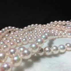 Takaramonobr 8.0-8.5 Mm Japanese Akoya Cultured Pearl Necklace In White