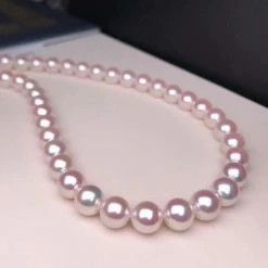 Takaramonobr TEN-NYO | 8.5-9.0 Mm Japanese Akoya White Pearl Necklace - PSL Certificate Akoya Pearls