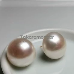 Takaramonobr Freshwater Pearls 15.0-16.0 Mm White Button Freshwater Pearl Earrings