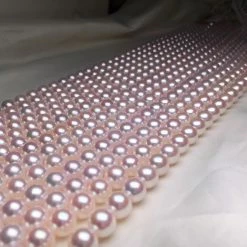 Takaramonobr HANADAMA | 8.5-9.0 Mm Japanese Akoya Pearl Necklace - PSL Certificate