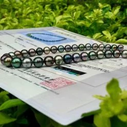 Cheap π Takaramonobr Luxury Series ι»θΆγ―γ€γΌγ³ | 8.0-11.0 Mm Tahitian South Sea Multicolor Pearl Necklace | PSL Certificate π 15 Takaramonobr Luxury Series ι»θΆγ―γ€γΌγ³ | 8.0-11.0 Mm Tahitian South Sea Multicolor Pearl Necklace | PSL Certificate