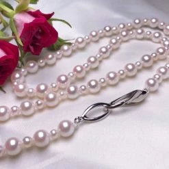 Takaramonobr Akoya Pearls 24