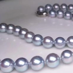 Takaramonobr 8.0-8.5 Mm AA+ Silver Blue Akoya Pearl Necklace 24