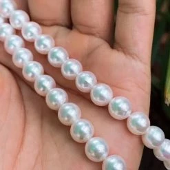 Takaramonobr 7.5-8.0 Mm AA+ Double Strand White Akoya Pearl Bracelet 16